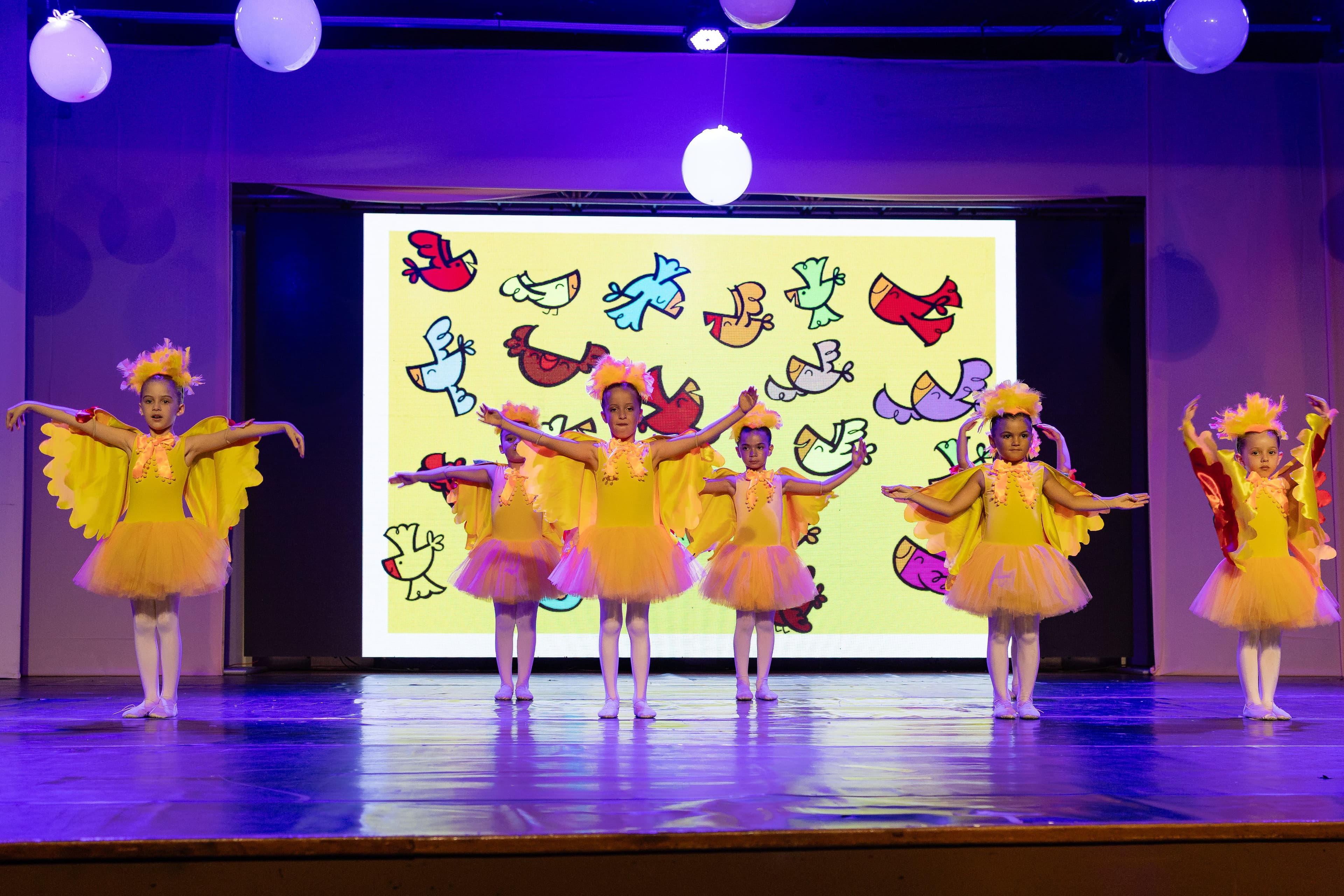ESCOLA DE PASSARINHOS HOMENAGEADA EM ESPETÁCULO DE DANÇA